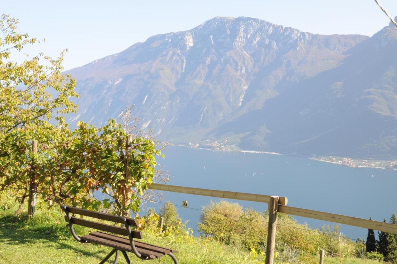 Villetta 56 Blu Yellow And Red Lake View Garden Private Parking By Garda Domus Mea Tremosine Екстериор снимка